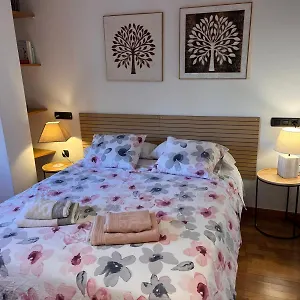 Piso Centrico Y Acogedor Apartamento